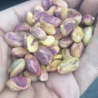 انواع مغزگلدارومغزکارگاهی|خوردنی و آشامیدنی|اسلامشهر, مظفریه|دیوار