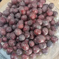 عناب جگری امسالی وزرشک پفکی امسالی|خوردنی و آشامیدنی|بجستان, |دیوار