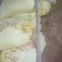 خاک اره