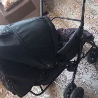 کالسکه|کالسکه و لوازم جانبی|تربتحیدریه, کلاته توکلی|دیوار