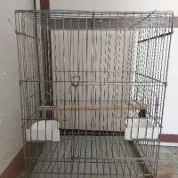 قفس پرنده