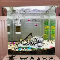 اکواریوم با لوازم