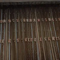 پرده پذیرایی