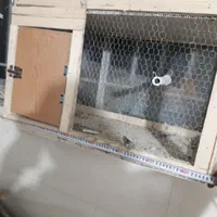 قفس جفت کن کبوتر فنچ و مرغ عشق|لوازم جانبی حیوانات|داران, |دیوار