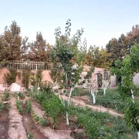 1050متر باغچه چهاردیواری، کردان با کاربری باغویلا|فروش زمین و ملک کلنگی|هشتگرد, طاووسیه|دیوار