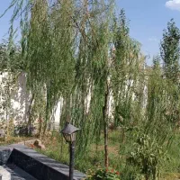 سفرخونه