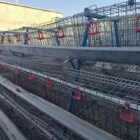 قفس مرغ تخمگذار