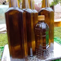 زیتون کنسروی بی هسته و روغن زیتون درجه یک بشر