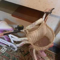دوچرخه دخترانه سایز ۲۰|دوچرخه، اسکیت، اسکوتر|قم, مسجد امام حسن|دیوار