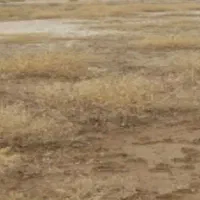 زمین-مسکونی