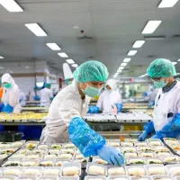 نیازمند نیرو ساده برای کارخانه