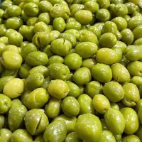 زیتون و روغن زیتون|خوردنی و آشامیدنی|تهران, عباسی|دیوار