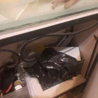 آکواریوم ماهی|ماهی|تهران, مجیدآباد|دیوار