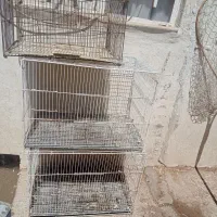 قفس پرنده
