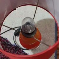 آباژور رومیزی|چراغ خواب و آباژور|شاهین‌شهر, شهرک گلدیس|دیوار