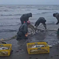 نیازمند کارگر