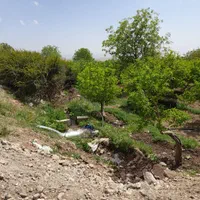 ۲۳۸متر باغچه خسروان جنب آیینه ورزان|فروش زمین و ملک کلنگی|دماوند, دماوند|دیوار