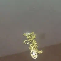 گردنبندرنگ ثابت