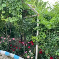 220 متـر/ ویلایی دربـست / 2 طبـقه / هنــرستان 31|اجارهٔ خانه و ویلا|مشهد, نیروی هوایی|دیوار