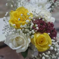 تشک یکنفره پنبه غوزه