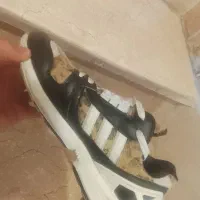 چند جفت کتونی آدیداس zx