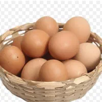 تخم مرغ محلی ارگانیک ونطفه دار20