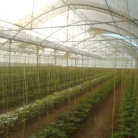 نصب وتعمیرات انواع گلخانه های جوشی وپیچ مهره ی