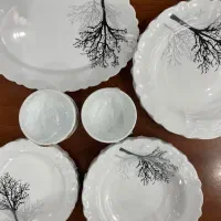 مدل ارکوپال نو|ظروف سرو و پذیرایی|تهران, آبشار|دیوار