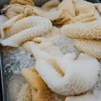 سیراب و شیردون پاک شده گوساله