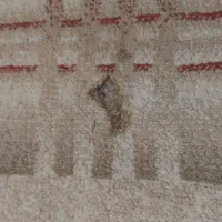 قالیچه فرش ۱.۵ در ۲|فرش|تهران, تهرانپارس غربی|دیوار