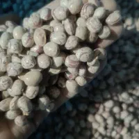 لوبیا چیتی ارگانیک