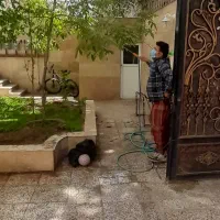 خدمات باغبانی ،هرس کاری،سمپاشی در سراسر مشهد