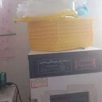 دستگاه جوجه کشی|لوازم جانبی حیوانات|کوهدشت, |دیوار