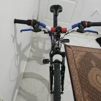 دو چرخه ۲۶|دوچرخه، اسکیت، اسکوتر|باغستان, |دیوار