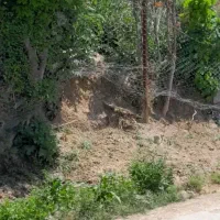 فروش یک قطعه زمین به مساحت ۲۱۰