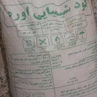 کوت سفیده دانه ریز|گل و گیاه طبیعی|اندیمشک, |دیوار