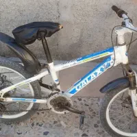 دوچرخه حرفه ای