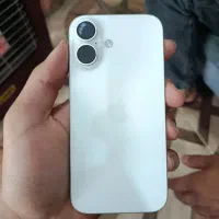 16نرمال سفید