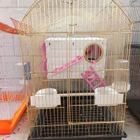 قفس|لوازم جانبی حیوانات|قم, یزدان‌شهر|دیوار