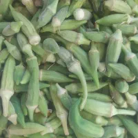 بویسان