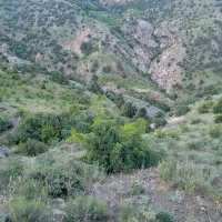 نظافت ساختمان