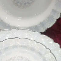 پخش عمده سرویس اوپال وچینی