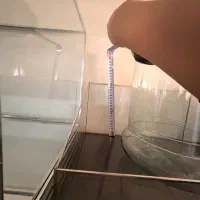 طبق شیشه عقد بله برون هدیه وگل و تزیینات یاچیدمان|صنایع دستی و سایر لوازم تزئینی|تهران, لویزان|دیوار