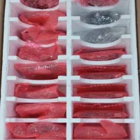 کنترل برد رایزر ماینر