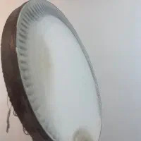 دف حبیبی