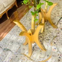 میزجلومبلی با ۲ تا عسلی|مبلمان خانگی و میز عسلی|تهران, قاسم‌آباد|دیوار