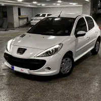 207 استثنایی فرمان برقی