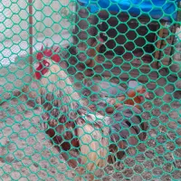 خروس ۳ میلیون