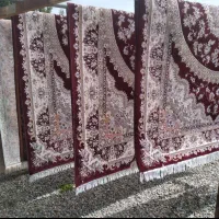 قالیشویی گلستان