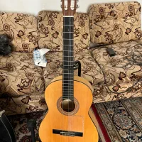 گیتار ادمیرا فلامینگو